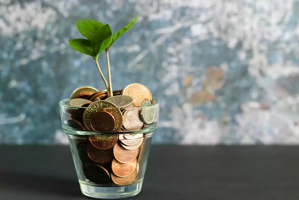 A green plant in a vase of coins