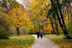 A retired couple taking a walk in the park