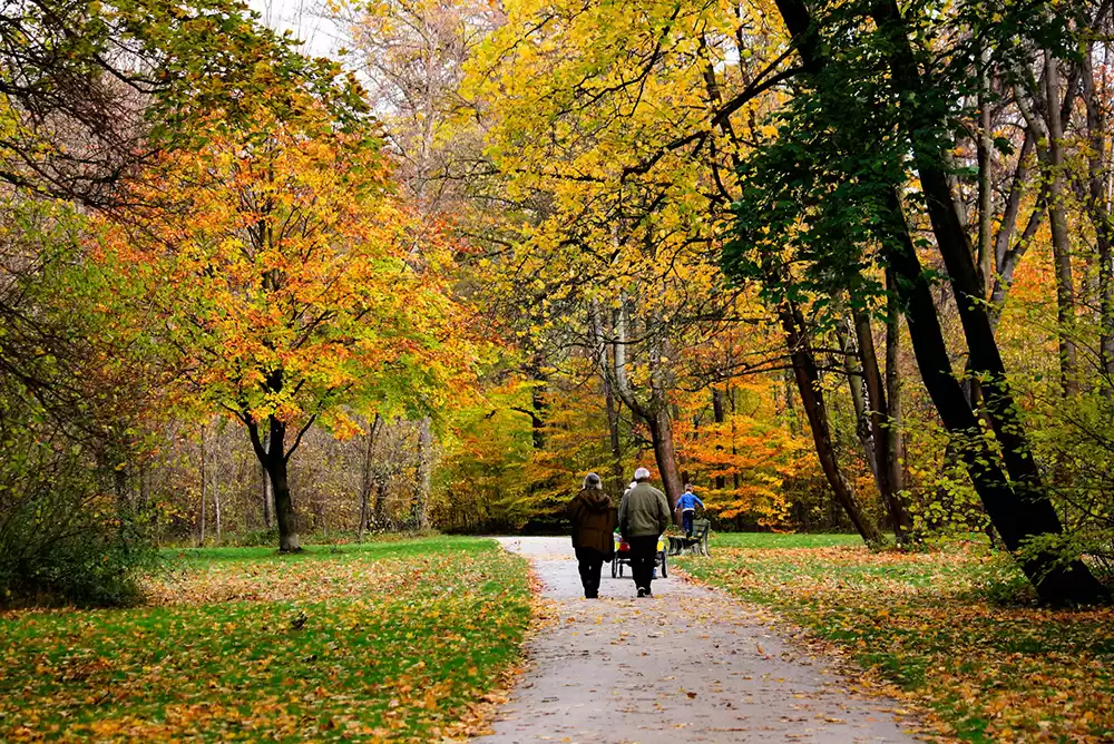 A retired couple taking a walk in the park