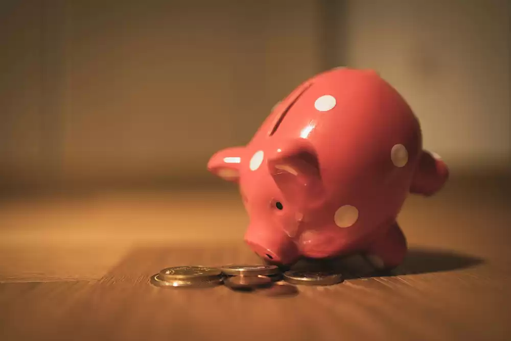 A small personal piggy bank