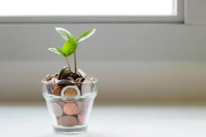 A small plant growing from a glass filled with coins, symbolizing financial growth.