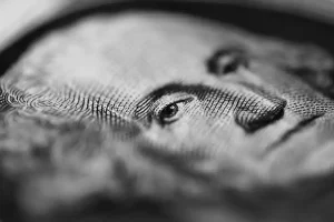 A closeup of george washington on us currency